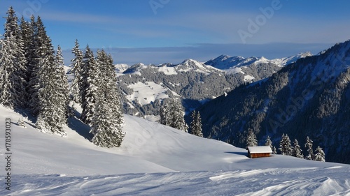View from mount Hohe Wispile, Gstaad. Snow covered trees and mountains. Winter scene in Switzerland. © u.perreten