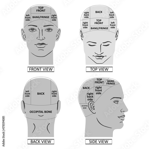 Man head divisions scheme