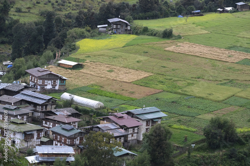 Bhutanese Village and Fields