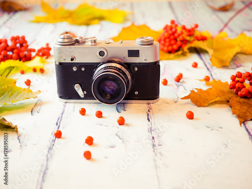 Autumn concept. Autumn yellow, green and brown leaves, red ashberries and a retro camera on a wooden background. photo