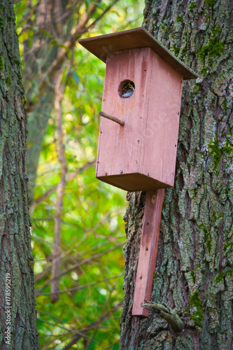 Wooden bird feeder in the forest