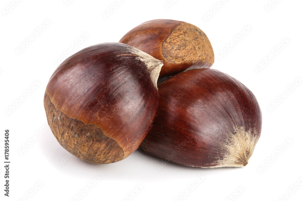 fresh edible chestnut isolated on white background fresh edible chestnut isolated on white background