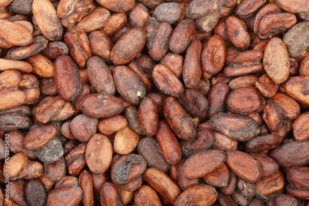 unpeeled cocoa bean as a background top view unpeeled cocoa bean as a background top view