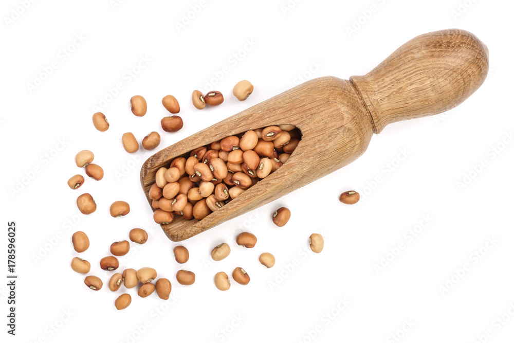 soybeans in a wooden scoop isolated on white background top view soybeans in a wooden scoop isolated on white background top view