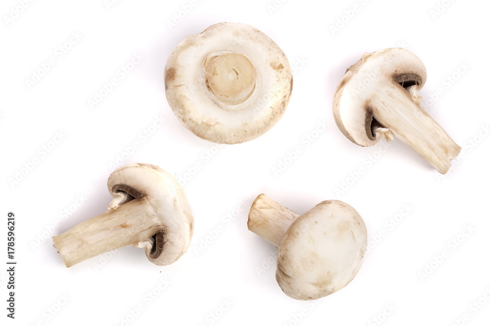 mushrooms isolated on white background. top view mushrooms isolated on white background. top view