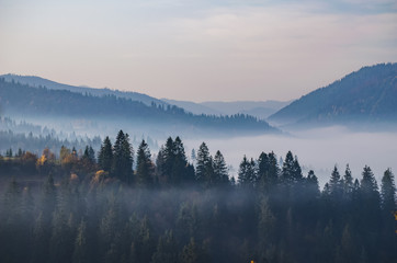 Keuken achterwand Mistig bos Nevelige herfst in Karpaten gebergte  © thaarey1986