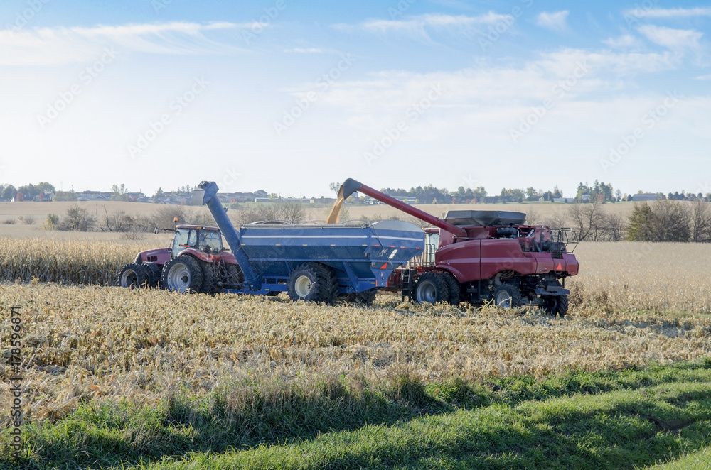 Harvesting Machine Loading Grain into Truck in a Field Harvesting Machine Loading Grain into Truck in a Field