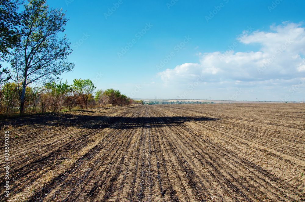 farm field after harvest