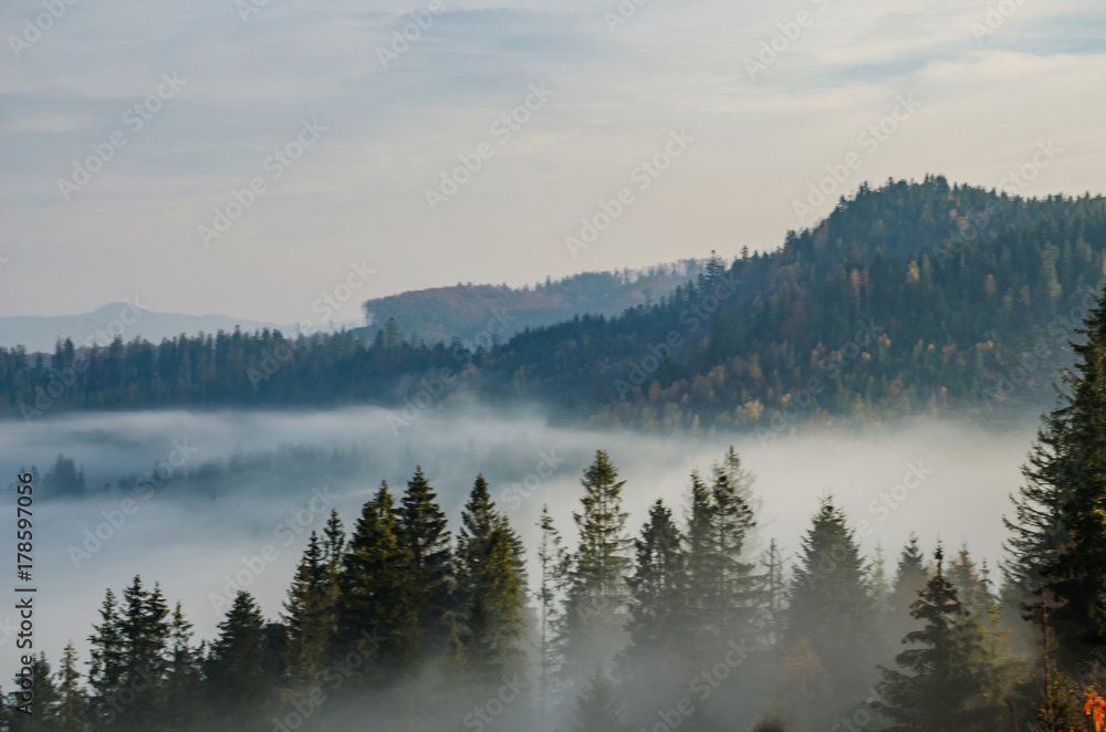 Foggy morning in the Ukrainian Carpathian Mountains in the autumn season Foggy morning in the Ukrainian Carpathian Mountains in the autumn season
