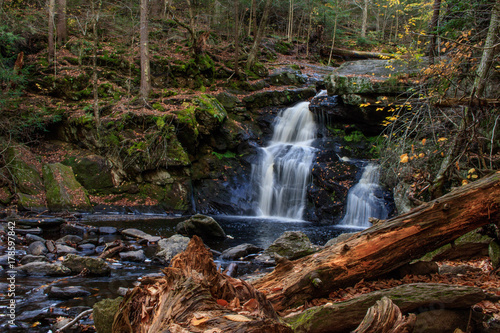 Waterfall with fallen tree