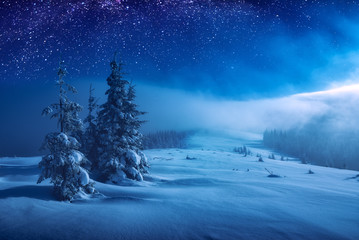 Christmas and New Year winter night