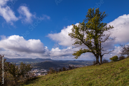 a landscape of a tree and blue sky with Eningen town in the background