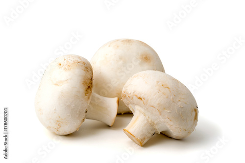 Three mushrooms on white background