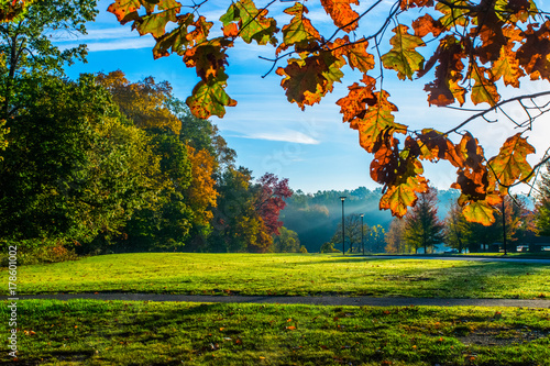 A beautifully gorgeous fall day!
