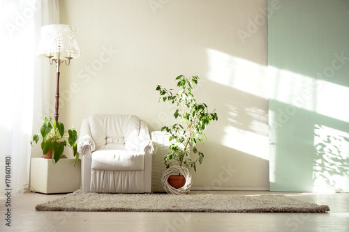 Bright room with white armchair TThis and home plants photo