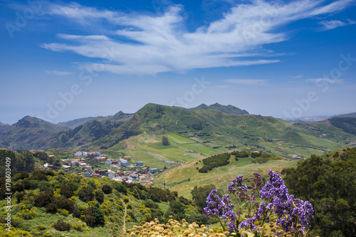 Orotava-green valley in Tenerife, in the distance towering over the valley of the Teide volcano photo