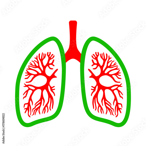 Lungs medical vector icon