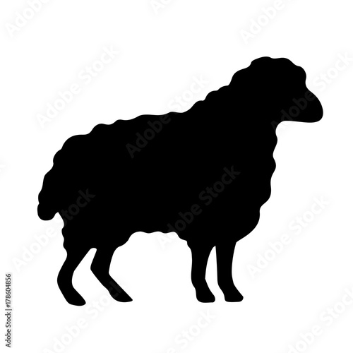 Wool sheep vector silhouette