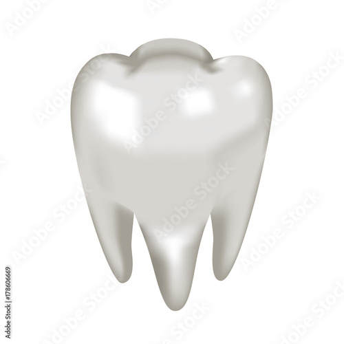 Object white tooth molar, vector