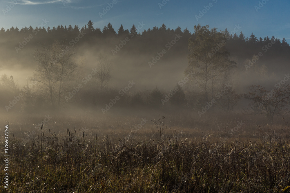 Dichte Nebelschleier ziehen über das Moor bei Icking