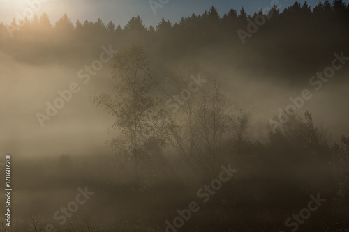 Dichte Nebelschwaden ziehen über das Moor in der Morgendämmerung
