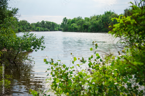 Fototapeta Naklejka Na Ścianę i Meble -  Summer landscape on the river bank