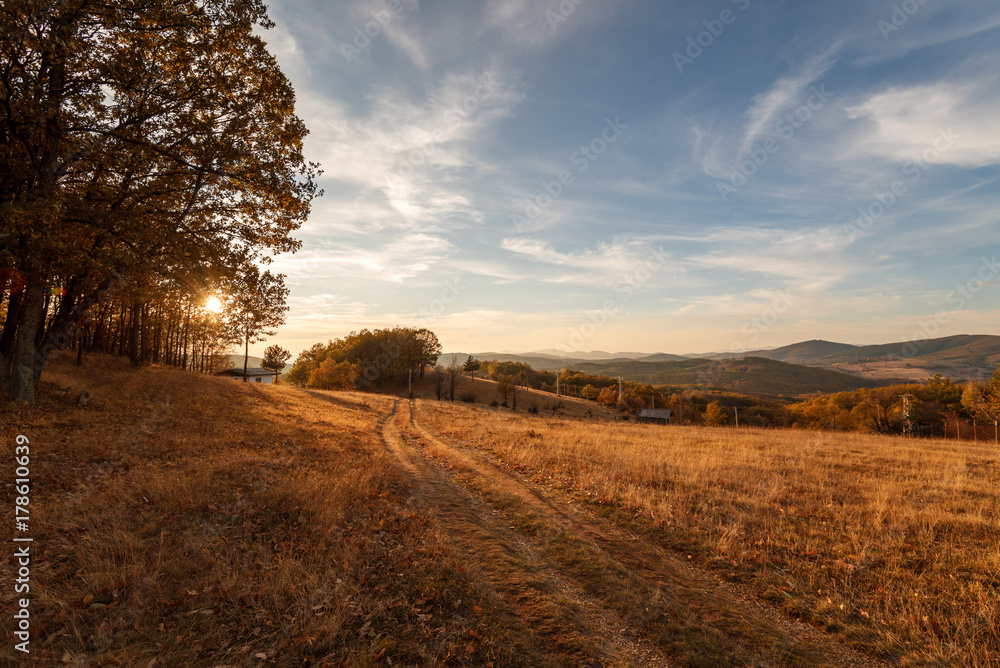 Road through forest in autumn.