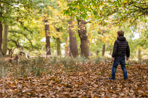 Boy in Richmond park photo