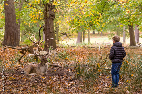 Boy in Richmond park photo