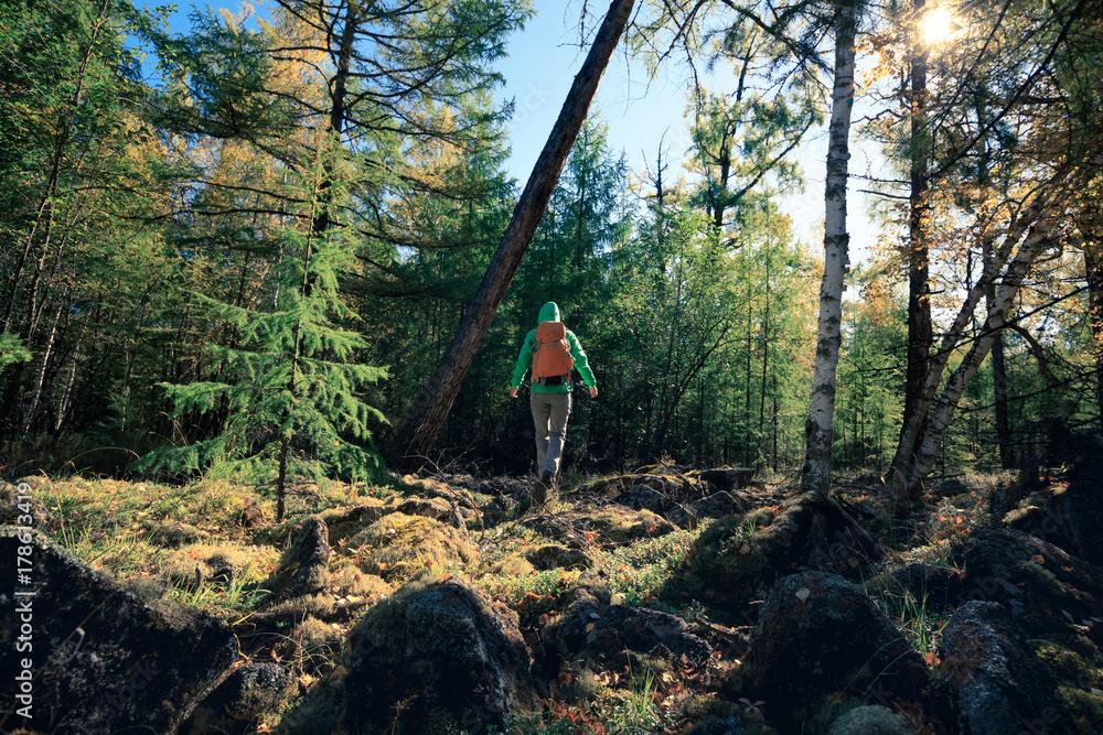 Fototapeta premium hiking woman hiker in the sunrise autumn forest
