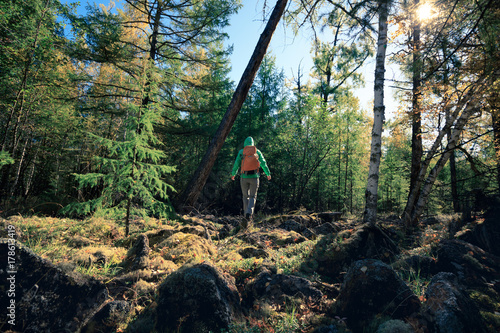 hiking woman hiker in the sunrise autumn forest