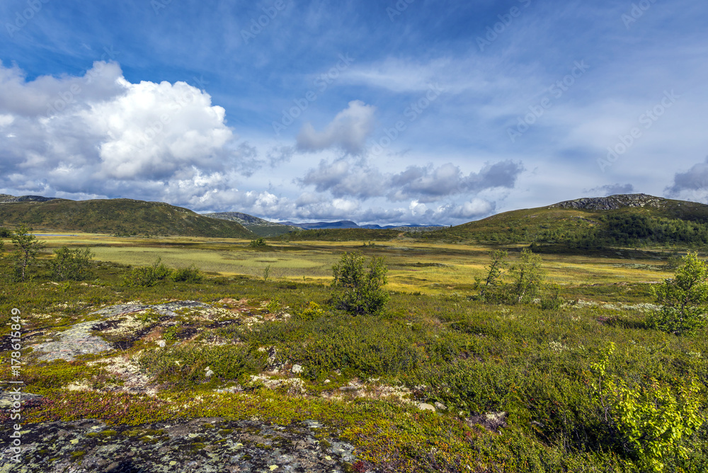 Norwegian landscape close to Beitostølen, Norway