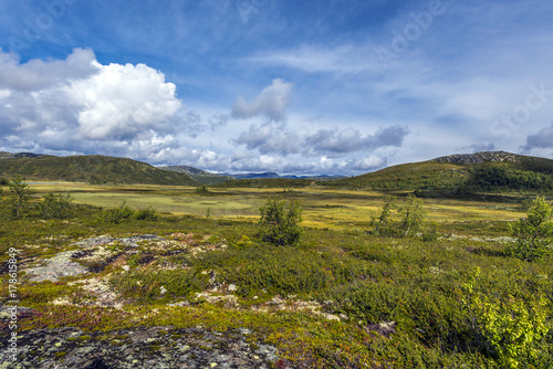 Norwegian landscape close to Beitost  len  Norway