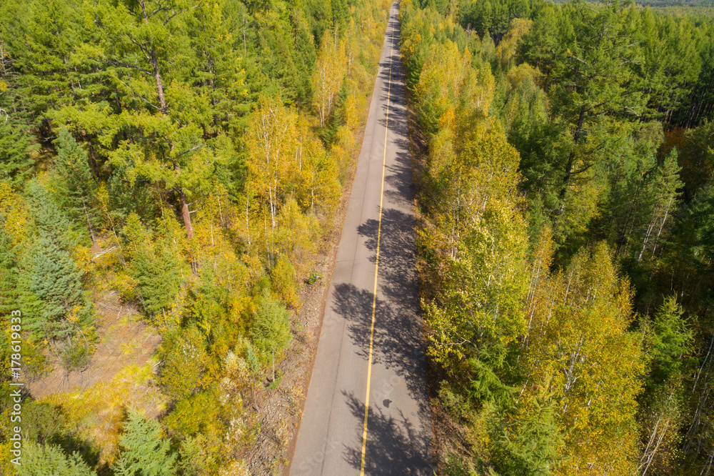 aerial shot of trail in the autumn forest landscape