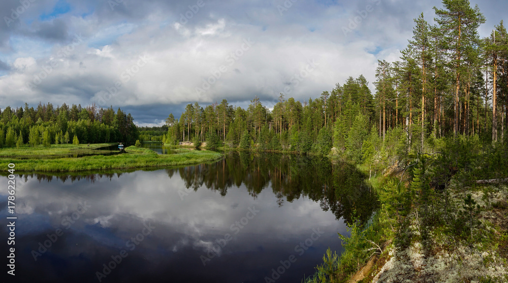 Beautiful panorama of forest river