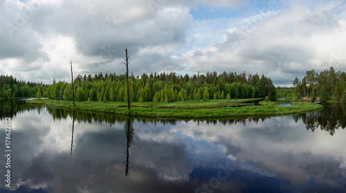 Beautiful panorama of forest river © mrdenpol