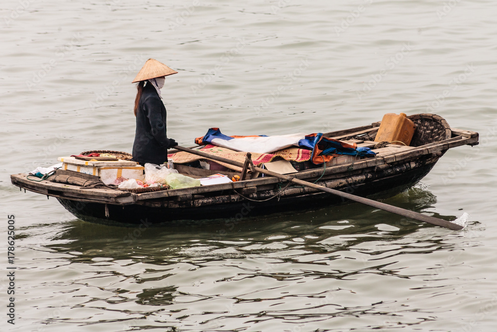 Obraz premium Halong bay in de golf van Tonkin, Viet Nam