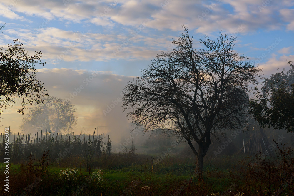 Twilight, fog. Two travelers. Summer evening landscape.