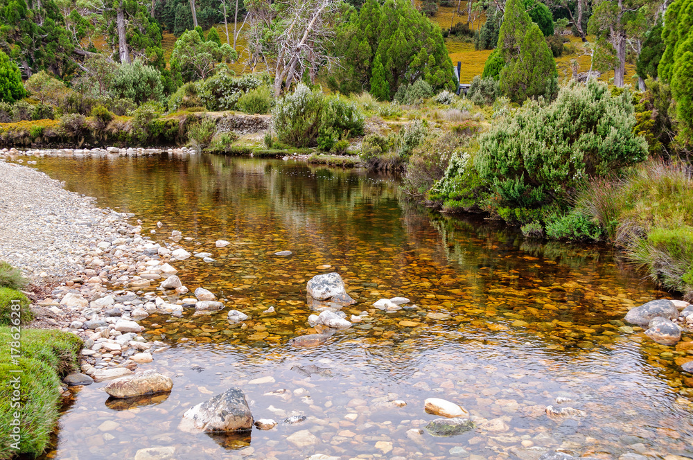 Fototapeta premium Ronny Creek crossing in the Cradle Mountain-Lake St Clair National Park - Tasmania, Australia