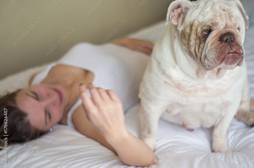Cão, pet, bulldog deitado na cama com mulher jovem loira,. Cão, pet, bulldog deitado na cama com mulher jovem loira,.
