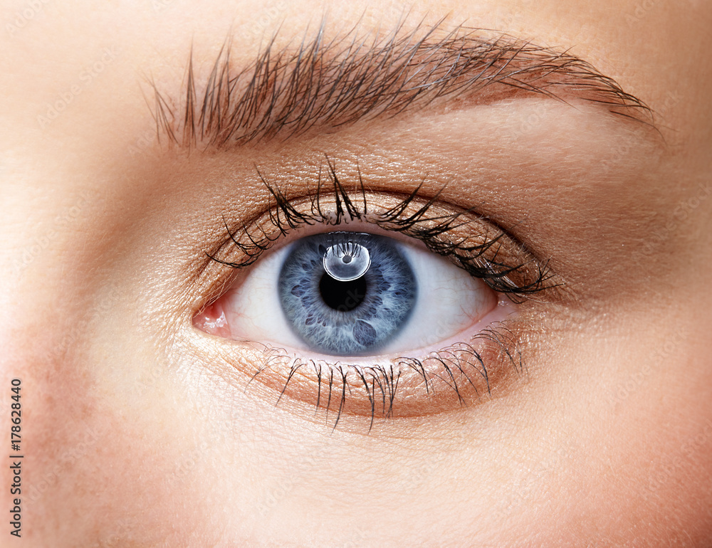 Obraz premium Closeup macro portrait of female face. Human woman blue eye with day beauty makeup and long natural eyelashes