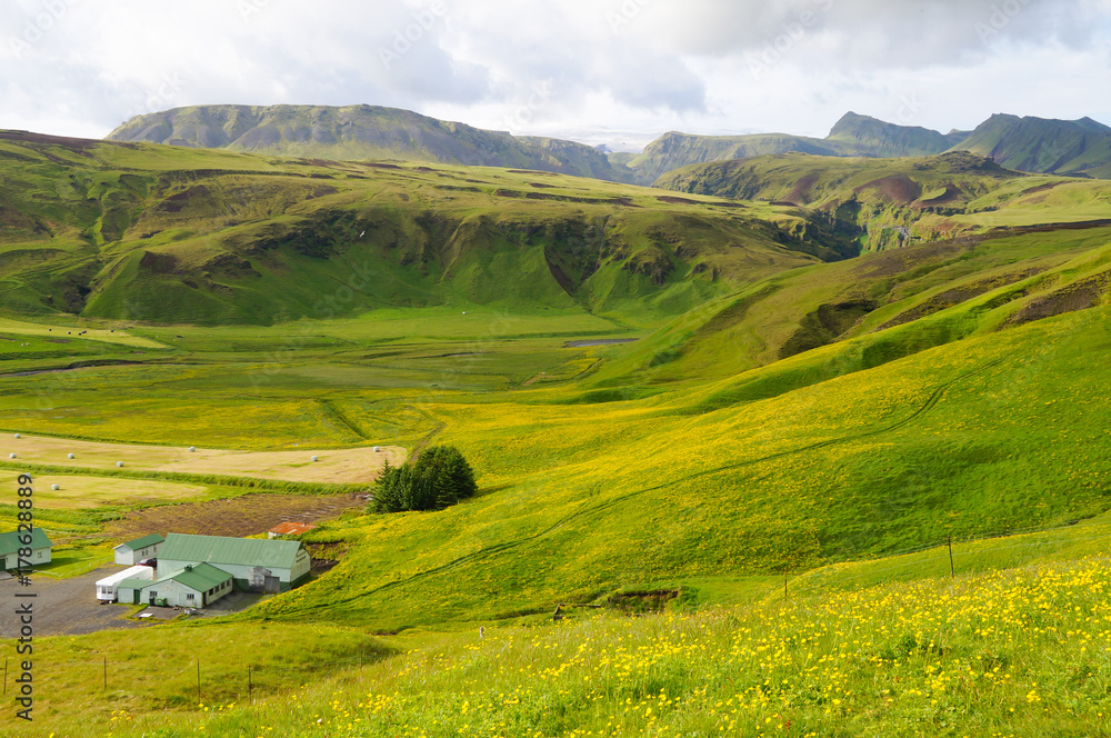 Beautiful landscape in summer,Iceland Beautiful landscape in summer,Iceland