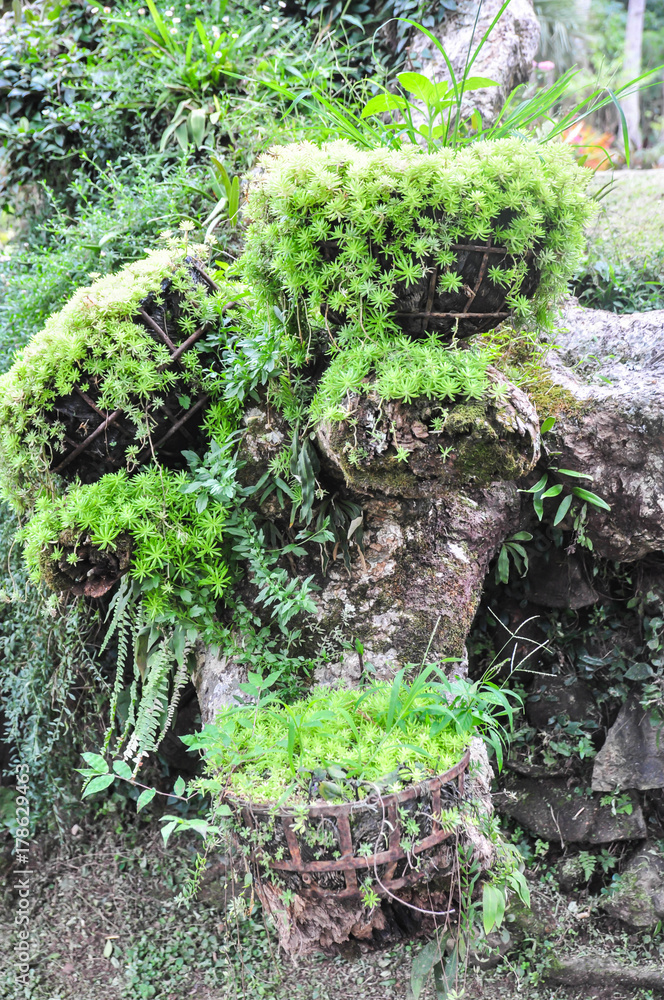 nature background nature background