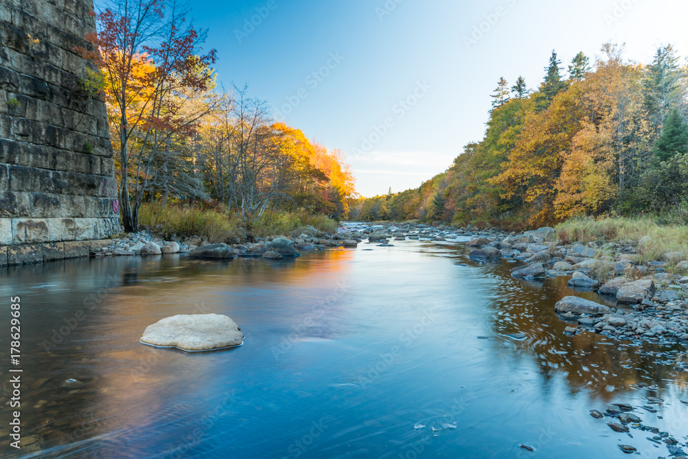 Fototapeta premium Gold River fall colours