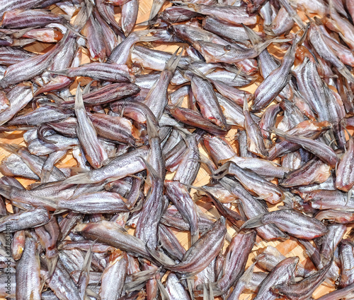 Dried Small fish Background.