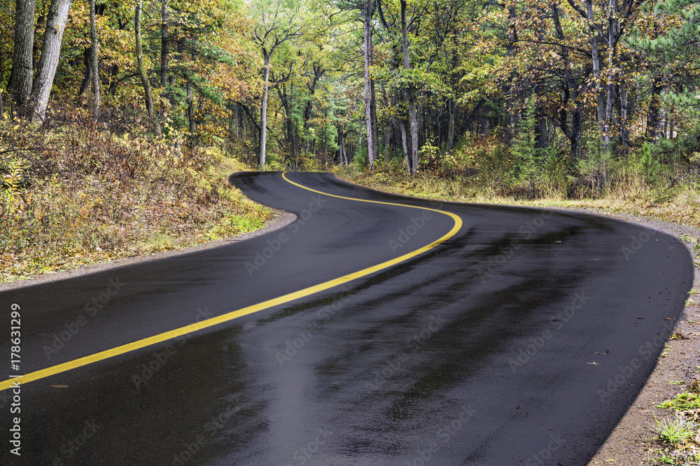 Fototapeta premium Beautiful wet dark winding road through vibrant autumn trees and foliage