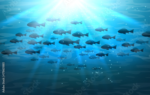Shoal of sea fish. Swimming pisces in blue deep ocean water vector illustration