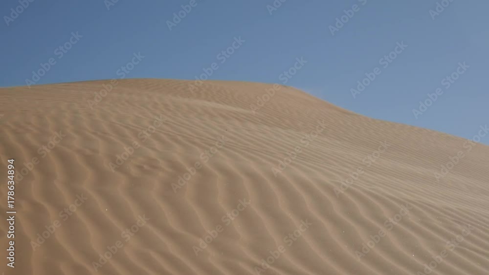 Vento sulle dune del Sahara Vento sulle dune del Sahara