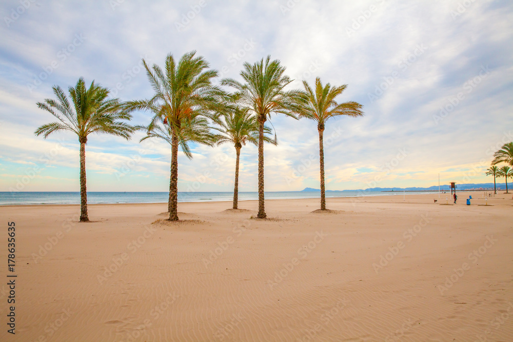 Spain Valencia beach, palms view at sunset