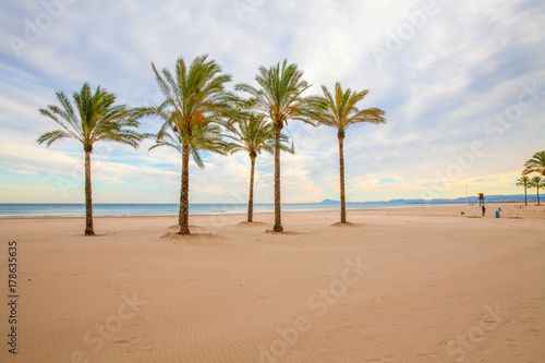 Spain Valencia beach  palms view at sunset